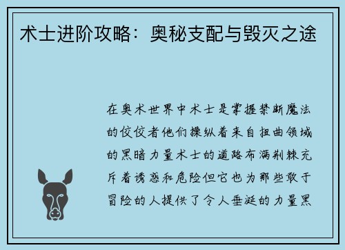 术士进阶攻略：奥秘支配与毁灭之途