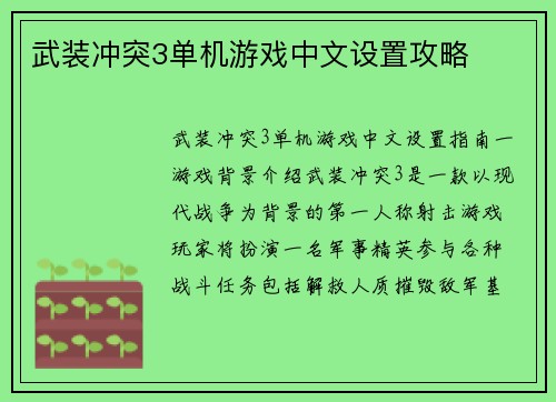 武装冲突3单机游戏中文设置攻略